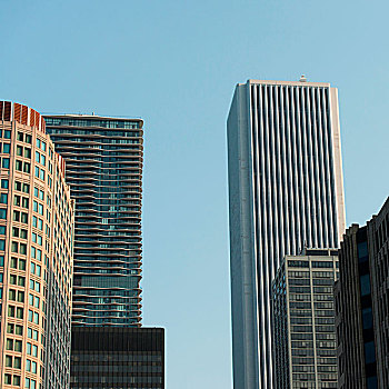 仰视,摩天大楼,芝加哥,库克县,伊利诺斯,美国