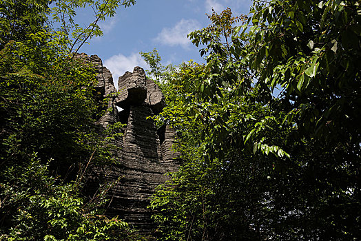 恩施,大峡谷,风景,景点,旅游,高山,山区,神秘,树木,植被,石头,鄂西,奇石,峡谷,壮观