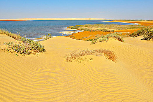 沙丘,盐湖,沙漠,利比亚沙漠,撒哈拉沙漠,埃及,北非,非洲