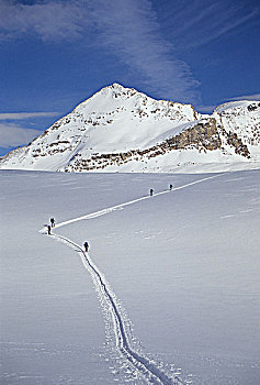 滑雪者,白云石,落基山脉,班芙国家公园,艾伯塔省,加拿大