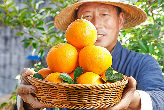 农民手上端着一篮果冻橙