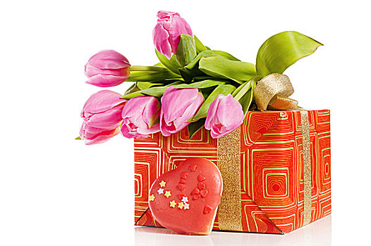 粉色,郁金香,礼盒,隔绝,白色背景