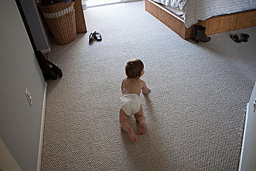 俯拍,后视图,男婴,穿,尿布,爬行,地毯,卧室