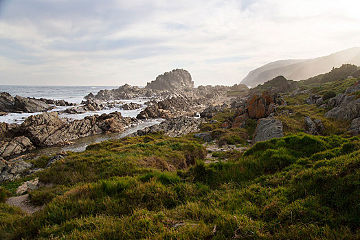岩石海岸,东开普省,南非,非洲