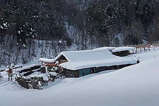 东北冬天山谷里村庄人家