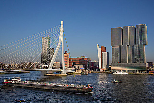 城市,鹿特丹,桥,荷兰