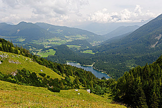 风景,拉姆绍,湖,国家,公园,上巴伐利亚,巴伐利亚,德国,欧洲