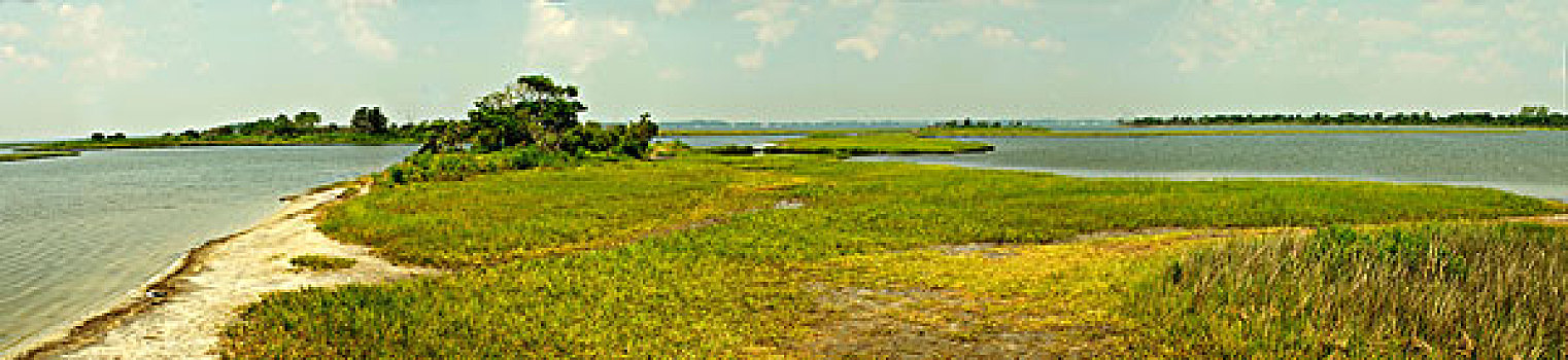 盐沼,阿萨蒂格岛,国家海岸,马里兰