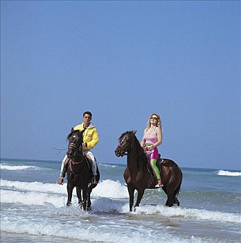 马,哺乳动物,男人,海洋,海滩,海浪,夏天,假日,动物
