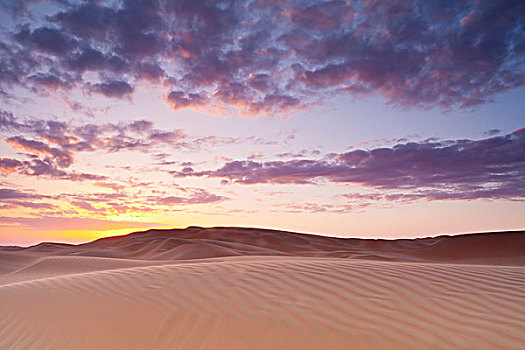 日落,上方,沙丘,绿洲,阿布扎比,阿联酋
