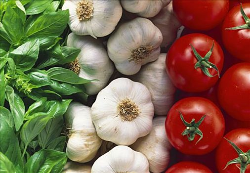 罗勒,蒜,西红柿,意大利,彩色