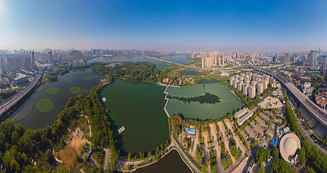 武汉,动物园,公园,夏季,航拍,风光