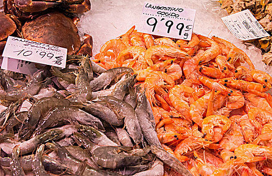 巴塞罗那,西班牙,市场,海鲜,虾,食物,销售