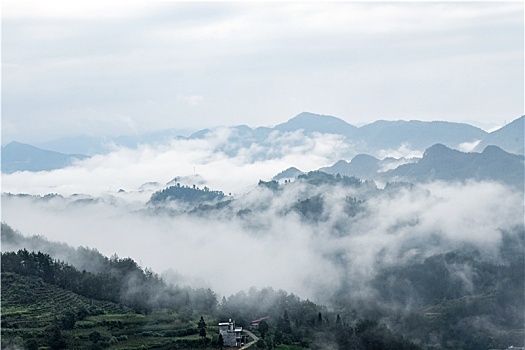 中国重庆酉阳,万木丛中腾白雾