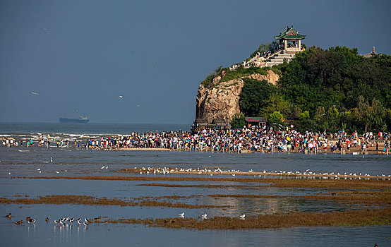 湿地,北戴河,秦皇岛,海滩,大潮坪,鸽子窝,落潮,涨潮,环保,保护