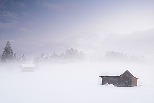 谷仓,冬天,地面,雾