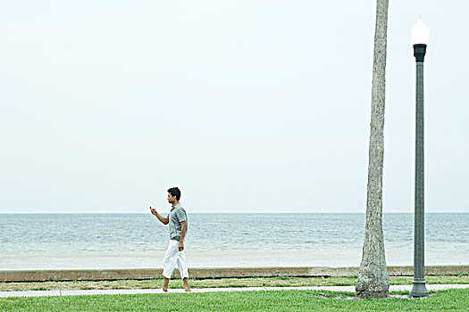 男人,走,人行道,海滩,看,手机