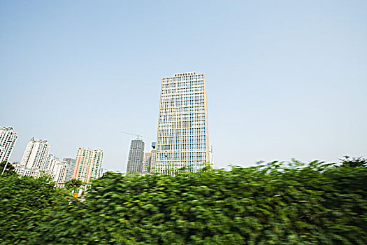 广东,广州,高层建筑,树篱