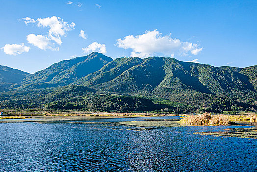 云南省腾冲北海湿地