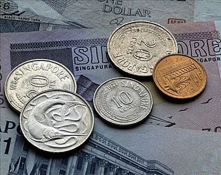 新加坡,美元
