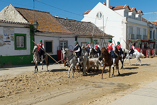游行,骑手,街道,省,葡萄牙,欧洲