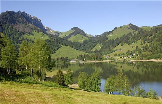 风景,靠近,湖,阿尔卑斯山,瑞士