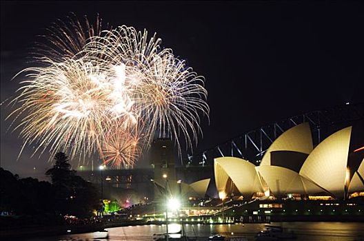 澳大利亚,新南威尔士,悉尼,剧院,衣架,桥,船,悉尼港,2006年,新年,周年纪念,烟花,庆贺