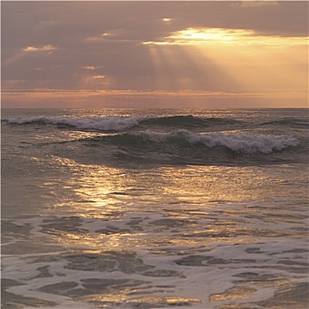 日落,海岸,哥斯达黎加