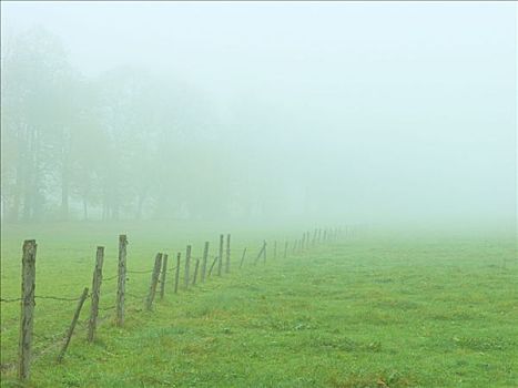 栅栏,晨雾,巴伐利亚,德国