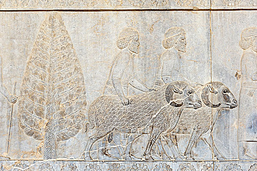 古老,浮雕,两个,公羊,阿帕达纳宫,宫殿,遗迹,波斯人,城市,波斯波利斯,世界遗产,法尔斯,省,伊朗,亚洲