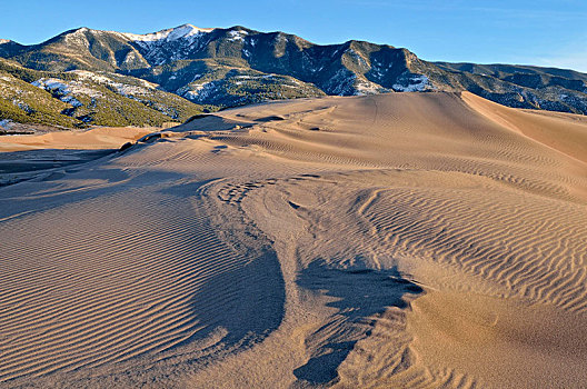 沙丘,风景,正面,山,国家公园,科罗拉多,美国,北美
