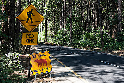 交通标志,警告,熊,优胜美地山谷,优胜美地国家公园,美国,北美