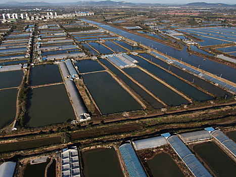 山东省日照市,航拍150平米工厂化海水养殖场,江北,鱼米之乡,名不虚传