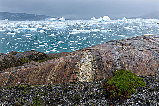 冰,约翰,峡湾,格陵兰东部,格陵兰