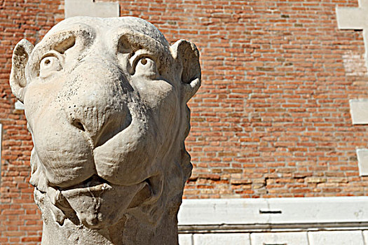 狮子,雕塑,正面,威尼斯,意大利,欧洲