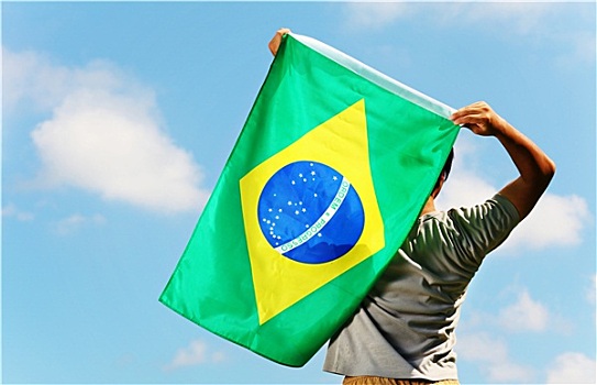 巴西,支持者,拿着,旗帜