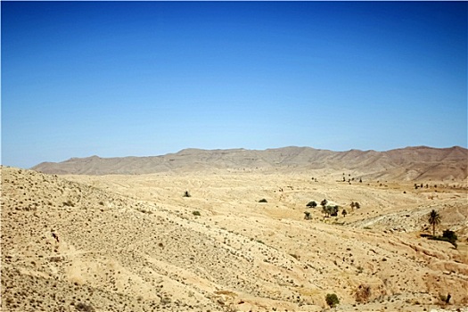 沙漠,南方,突尼斯