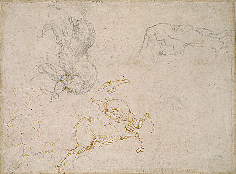 骑手,学习,16世纪,艺术家,米开朗基罗
