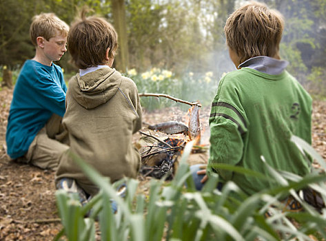 三个男孩,坐,营火,烹调,鱼肉