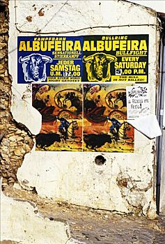 葡萄牙,海报,斗牛