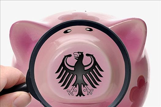 存钱罐,联邦,鹰,德国,盾徽,放大镜,象征,健康,金融
