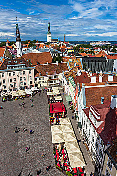 俯视,市政厅,广场,塔林,爱沙尼亚