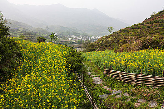 婺源乡间