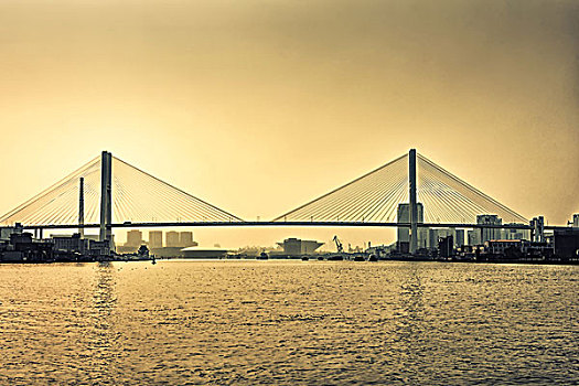 大桥于中国上海