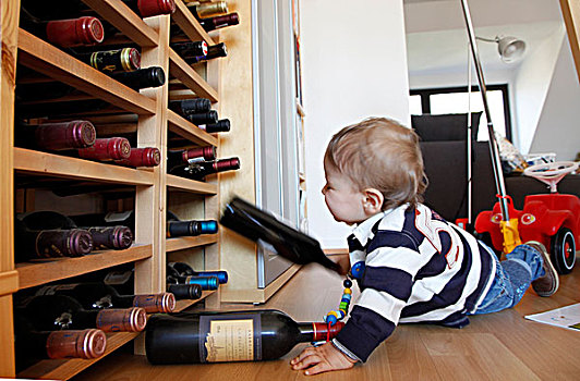 小男孩,10个月,探索,公寓,葡萄酒,瓶子,架子