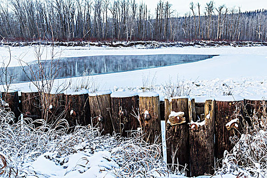 柱子,古桥,棍,室外,雪,冰冻,河,堡垒,艾伯塔省,加拿大