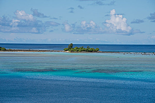 美拉尼西亚,省,所罗门群岛,岛屿,清晰,浅,湾,珊瑚礁,大幅,尺寸