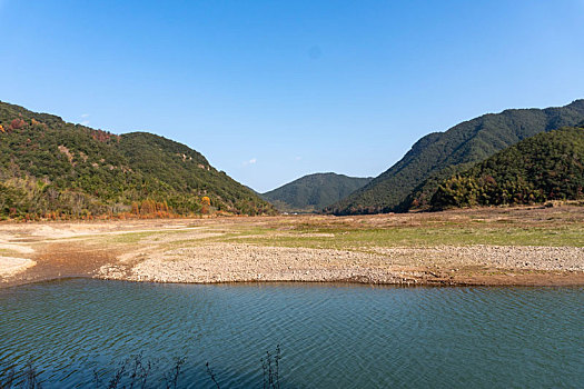 小芝红杉林,小芝红树林