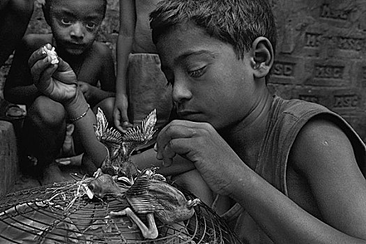 英雄,贫民窟,孩子,喂食,收集,破损,树,达卡,孟加拉,五月,2007年