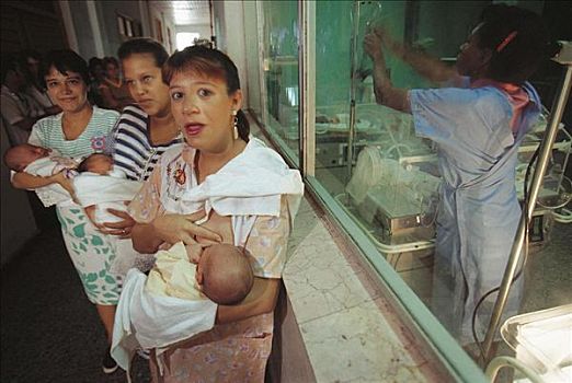 年轻,母兽,窗户,加护病房,哈瓦那,古巴,中美洲